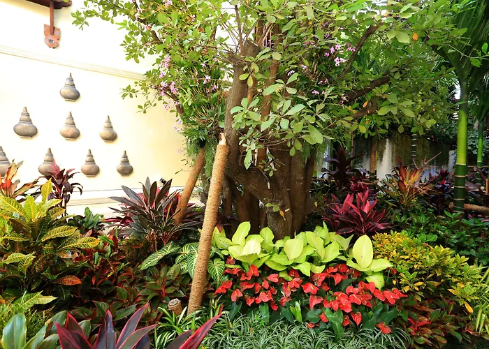 Hotel with view: Viangluang Resort